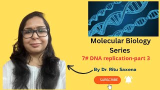 DNA replication in prokaryotes Ecoli [upl. by Cecelia866]