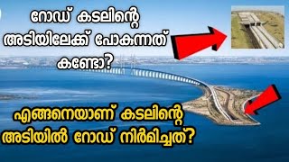 How was this Oresund Bridge built  ഡെന്മാർക്കിനെയും സ്വീഡനെയും ബന്ധിപ്പിക്കുന്ന ഒറീസുണ്ട് പാലം [upl. by Lednahc]