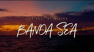 Best of Scuba Diving the Banda Sea  Wallacea Dive Cruises [upl. by Kyl]