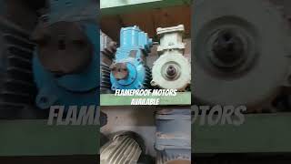 delhi flameproof motor induction copper winding new crompton abb kirloskar pump [upl. by Eizzo]