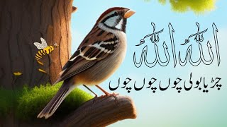 Ek Chirya Boli Chu ChuChu  Allah Ho Allah Ho  Islamic Nursery Rhyme for Kids [upl. by Egdirdle]