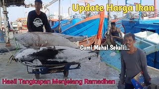 Melihat Hasil Tangkapan Dan Update Harga Ikan Menjelang Lebaran [upl. by Rimidalb601]