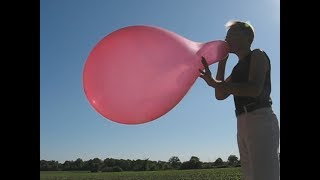 balloon blow to pop – Swan 24quot [upl. by Atnwahsal]