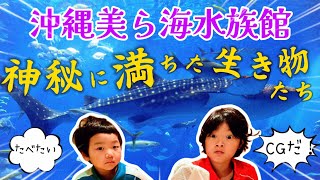 〔沖縄旅行vlog〕沖縄観光の代表的スポットといえば美ら海水族館yukichannel0920 [upl. by Otrebla619]