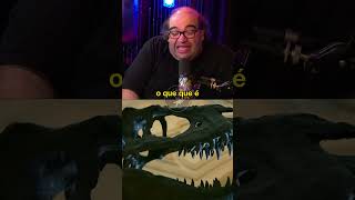 O PETRÓLEO VEM dos DINOSSAUROS sergiosacani curiosidades shorts [upl. by Nylekoorb970]