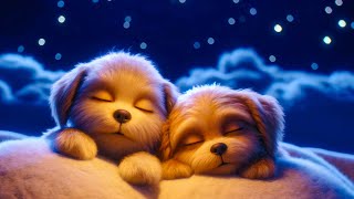 Babies Fall Asleep Quickly 🟡 Music For Childrens Deep Sleep 🌛 Music Reduces Stress [upl. by Kieffer]