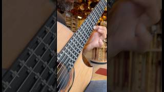 New adjustable microtonal guitar by Sala Muzik [upl. by Amersham715]