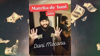 Dani Mocanu  Matrita de bani  Official Audio [upl. by Ahsekin]