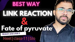 fate of pyruvate and link reactionrespiration in plant neet2025 by kvh biology facts neet [upl. by Eneleahs220]