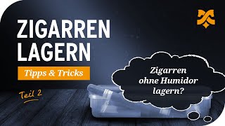 Zigarren lagern ohne Humidor – Tipps zum Aufbewahren von Zigarren [upl. by Nolla]