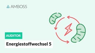 Energiestoffwechsel Teil 5 mit Molekülstrukturen  BetaOxidation  AMBOSS Auditor [upl. by Ethelin287]