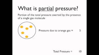 What is partial pressure [upl. by Kyte]