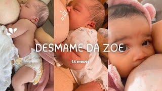 DESMAME DA ZOE 1 ANO E 2 MESES [upl. by Florida]