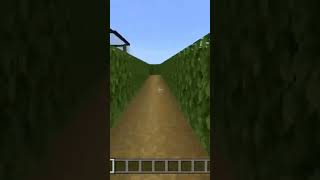 MINECRAFT MAZE minecraft maze minecraftbuilding gaming shorts minecraft maze [upl. by Tony]