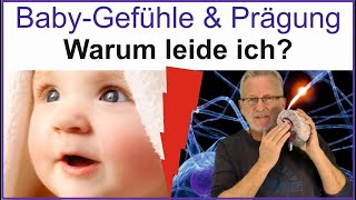 BabyPrägungszeit Die Ursache fast aller psychischen Störungen Das Reiskorngehirn im Baby [upl. by Corneille]