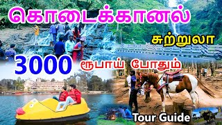 kodaikanal tourist places  கொடைக்கானல் சுற்றுலா 3000 ரூபாய் போதும்  Kodaikanal Tour Guide in tamil [upl. by Winfrid]