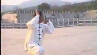 伝統陳式太極拳 chen style tai chi [upl. by Sapienza]