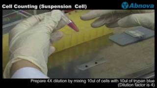 Cell Counting Suspension Cell [upl. by Janus32]