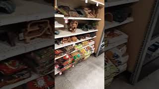 DampD terrian at Petsmart [upl. by Belden]