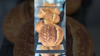 Baking 30 Loaves of Organic Classic Sourdough Bread in less than 2 Hours rm2020 rackmaster2020 [upl. by Coraline220]