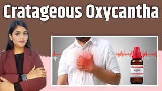 cratageous Oxycantha mother tincture uses for heart disease heart blockage heart attack [upl. by Aitenev]