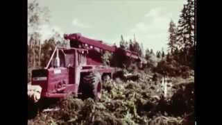 Forestry in Sweden 1969 [upl. by Robina12]