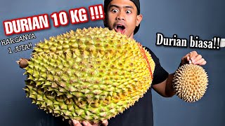 BUSET MUKBANG DURIAN RAKSASA SEBERAT 10 KG [upl. by Danica]