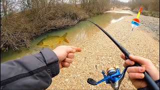 GROSSI PESCI CATTURATI A VISTA IN POCA ACQUA Pesca alla Passata Invernale in Fiume con il Lombrico [upl. by Johnny221]