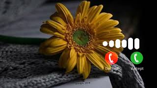 Love Instrumental Ringtone 2023Instrumental Ringtone SongsInstrumental Ringtone [upl. by Knah]