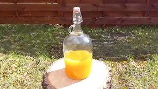 Recipe for ginger tincture Ginger lemon honey tincture… and more How to make a tincture [upl. by Abil912]