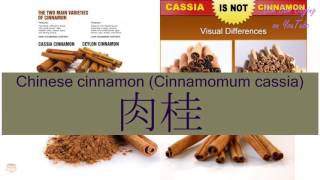 quotCHINESE CINNAMON CINNAMOMUM CASSIAquot in Cantonese 肉桂  Flashcard [upl. by Schild]