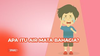 Apa itu Air Mata Bahagia [upl. by Kunin]