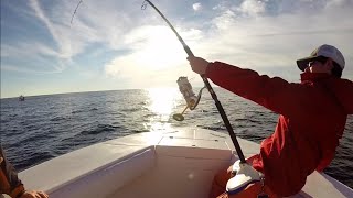 Cape Cod Tuna Fishing 2014 [upl. by Fitalludba]