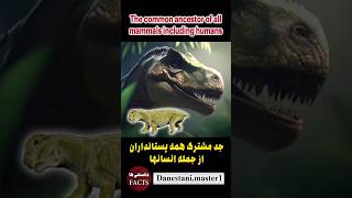 سیناپسیدها،synapsids دانستنیها newfact حیوانات animal دایناسور dinosaur animals [upl. by Endaira]