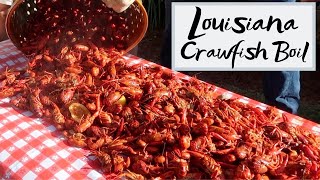 Authentic Louisiana Crawfish Boil  How to Boil Crawfish Louisiana Style [upl. by Eanahc246]