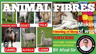 science scienceandtechnology animals fibres details study about wool [upl. by Githens]