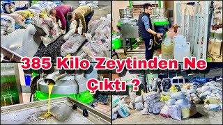 385 Kilo Zeytinden Bakın Kaç Kilo Zeytinyağı Çıktı  Osmaniye Sumbas [upl. by Imij]