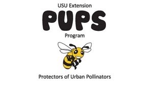 PUPS Types of Pollinators [upl. by Cyma237]