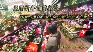 農曆新年前的旺角花墟 2023110Flower Market in Mong Kok before Chinese New Year 2023110 [upl. by Fira]