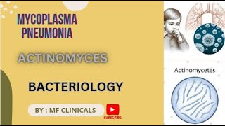 Actinomyces  Mycoplasma pneumonia mbbs bacteriology [upl. by Ailhat]