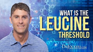 What Is The Leucine Threshold [upl. by Dnalevelc706]