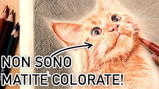 Non userai più le matite colorate Disegnare un gatto un ritratto con Carboncino Sanguigna e Carrè [upl. by Ilram]