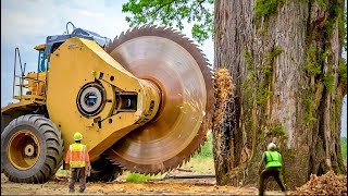 Extreme Chainsaw Machines  The Most Dangerous and Fastest TreeCutting Equipment 3 [upl. by Derick965]