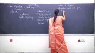 BIOTECHNOLOGY INTRODUCTION [upl. by Auqenat561]