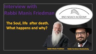 What Happens when you die Rabbi Manis Friedman [upl. by Ailisec]