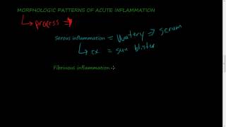 23  MORPHOLOGIC PATTERNS OF ACUTE INFLAMMATION  Serous Fibrinous Suppurative inflammation [upl. by Dupuy]