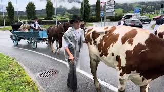 La désalpe🇨🇭Gruyère Fribourg [upl. by Annonyw]