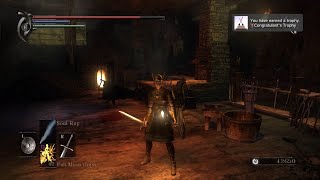 Demons Souls  How to Build Blessed Weapon Congratulants Trophy [upl. by Wolpert]