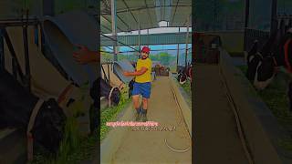 Successful cow dairy farm starting dairy farm business in India dairy farm tour in Indiafarming [upl. by Aral]