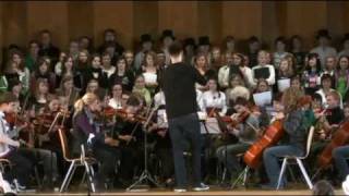 Battlefield by school orchestra [upl. by Allerus]